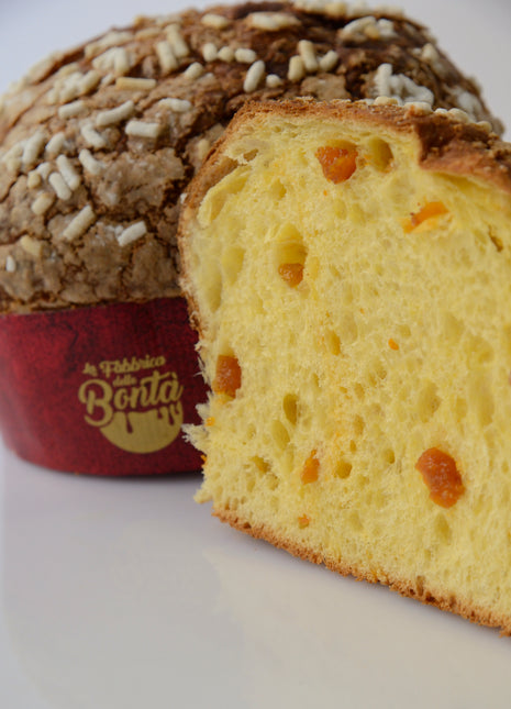 Albicocca Pellecchiella