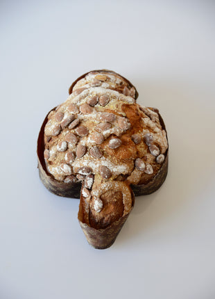 Colomba