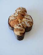 Colomba