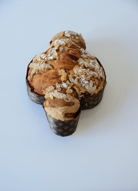 Colomba