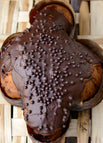 Amarena e cioccolato / 1000g